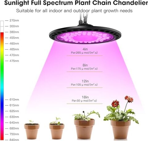Đèn LED trồng cây trong nhà 100w 200w 7