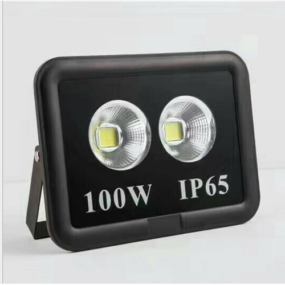 Đèn Pha LED 100W chiếu xa cao cấp PL100F/PHILIPS/DONE
