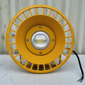 Đèn LED nhà xưởng chống cháy nổ 30w
